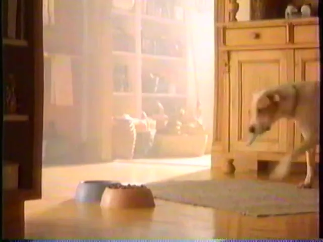Purina Dog Chow “Every Day”