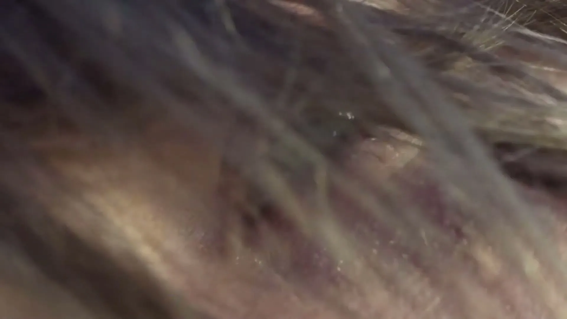 A very close-up shot of a person's head, with their blonde hair covering most of the frame, as they sleep soundly in bed.