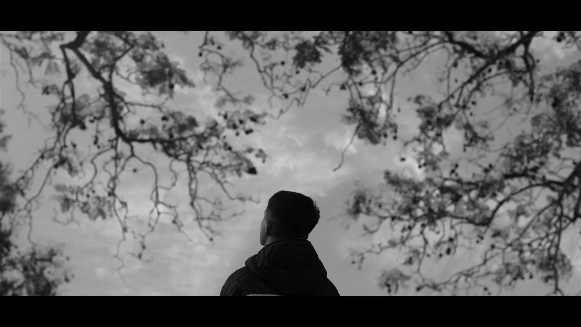 A person in a dark jacket looks up at a cloudy sky through tree branches, in black and white.
