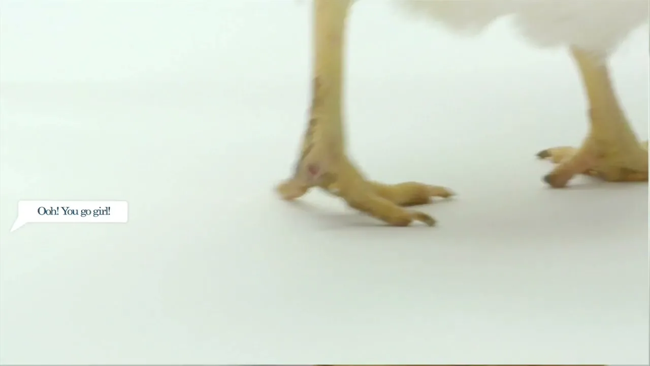 Foster Farms “Say No to Plumping”