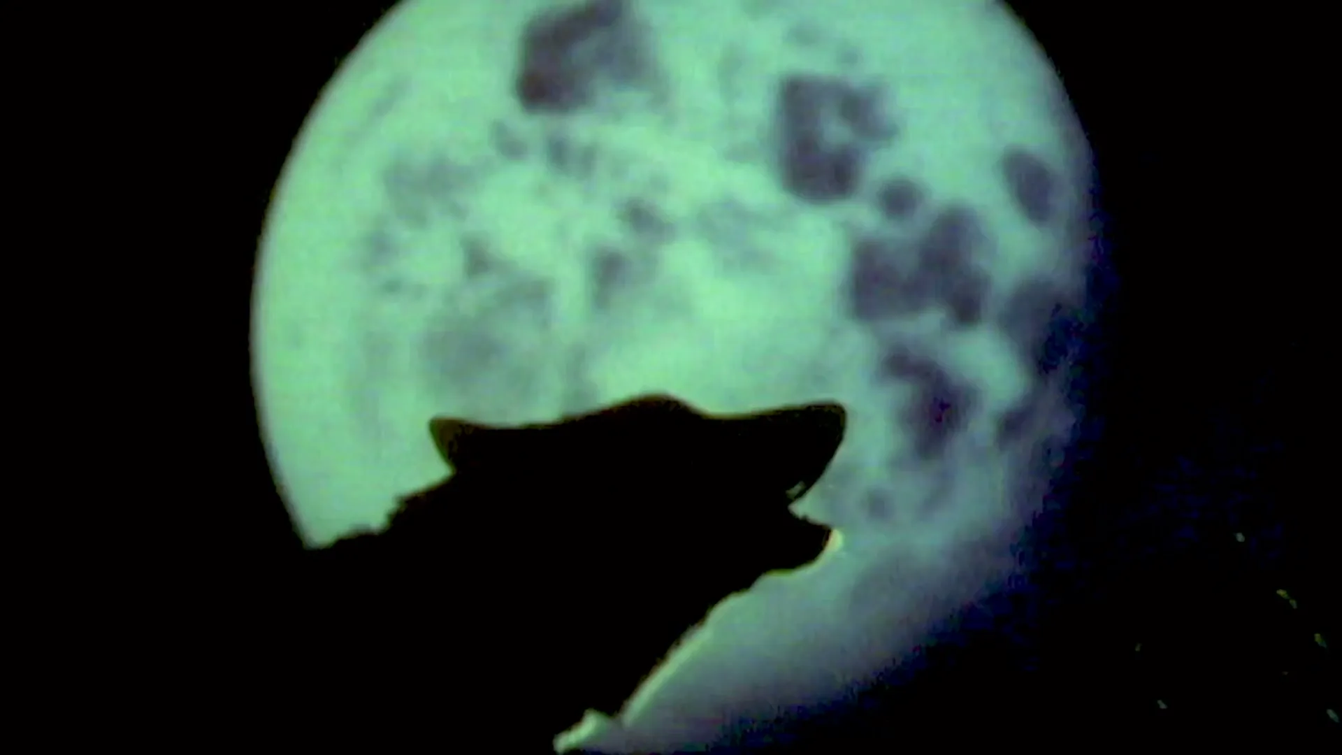 Colossal Biosciences "The First Dire Wolf Howl in Over 10,000 Years" (2026) commercial still