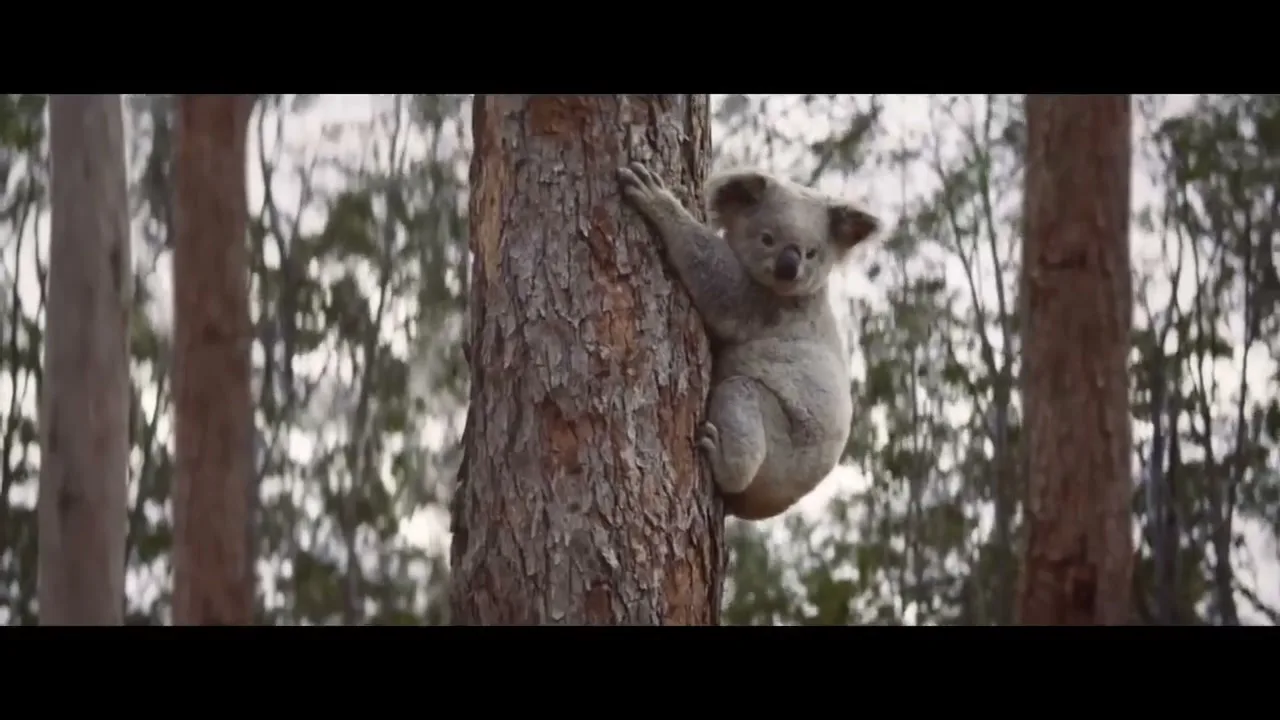 NRMA Insurance "Help is who we are" (2022) commercial still