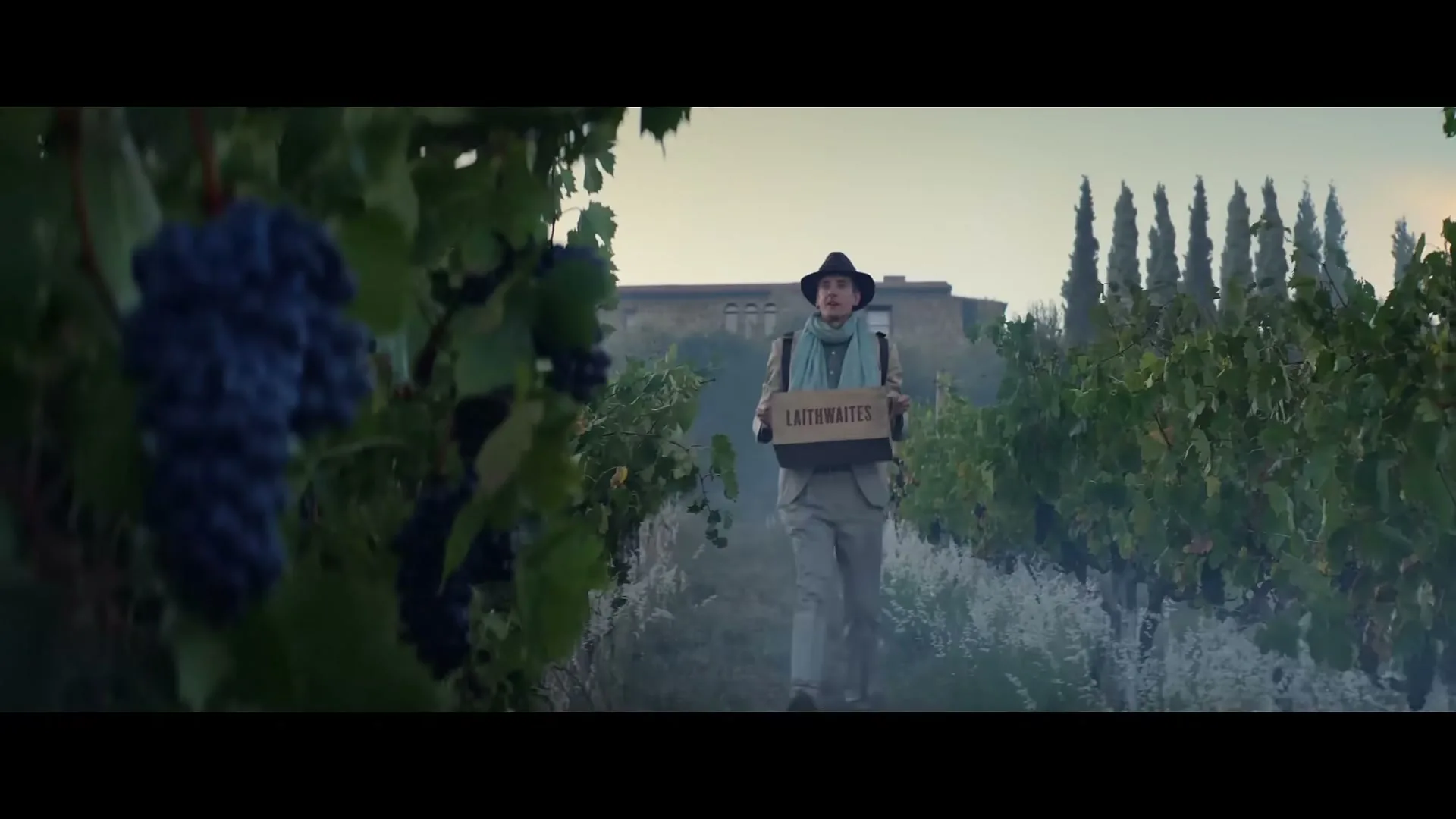 A man in a hat and scarf carries a box of grapes through a vineyard at dusk, with a building in the background.