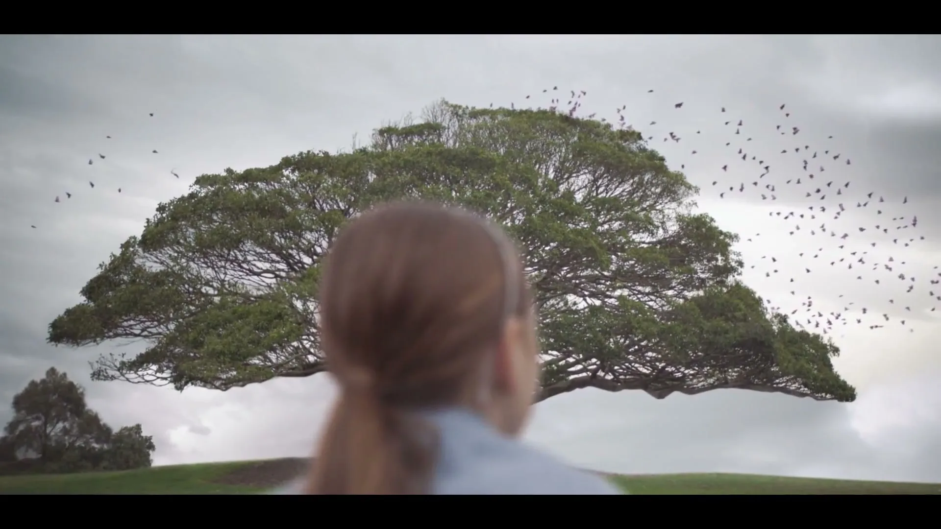 Officeworks “Officeworks 'Let Their Amazing Out”, directed by Husein Alicajic