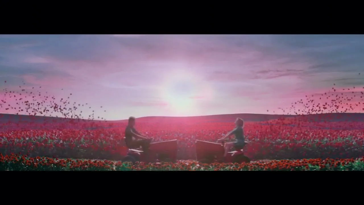 Durex “Roses”, directed by Wilfrid Brimo