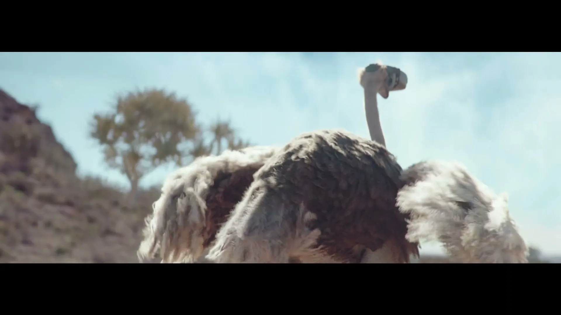 An ostrich with fluffy feathers stands in a desert landscape with sparse trees under a bright sky.
