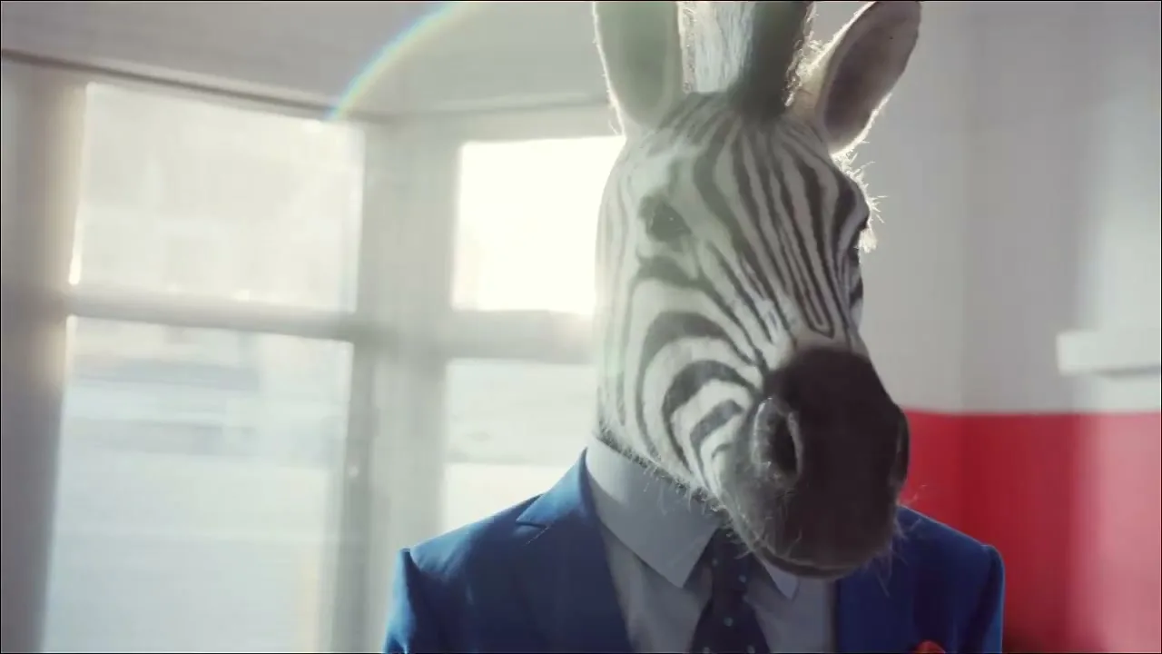 B&Q “Zebra”, directed by Dom & Nic