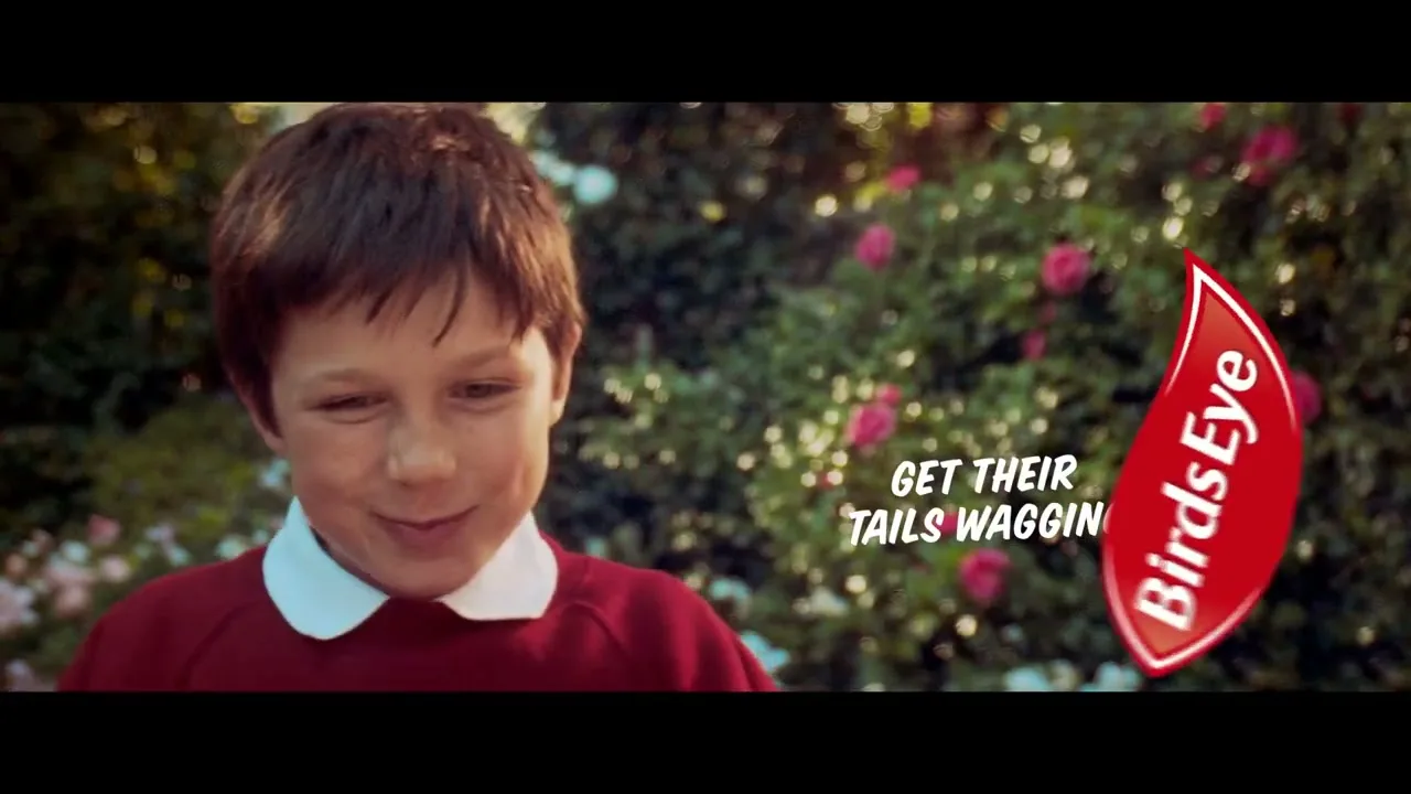 Birds Eye "Boy with a Tail" (2016) commercial still