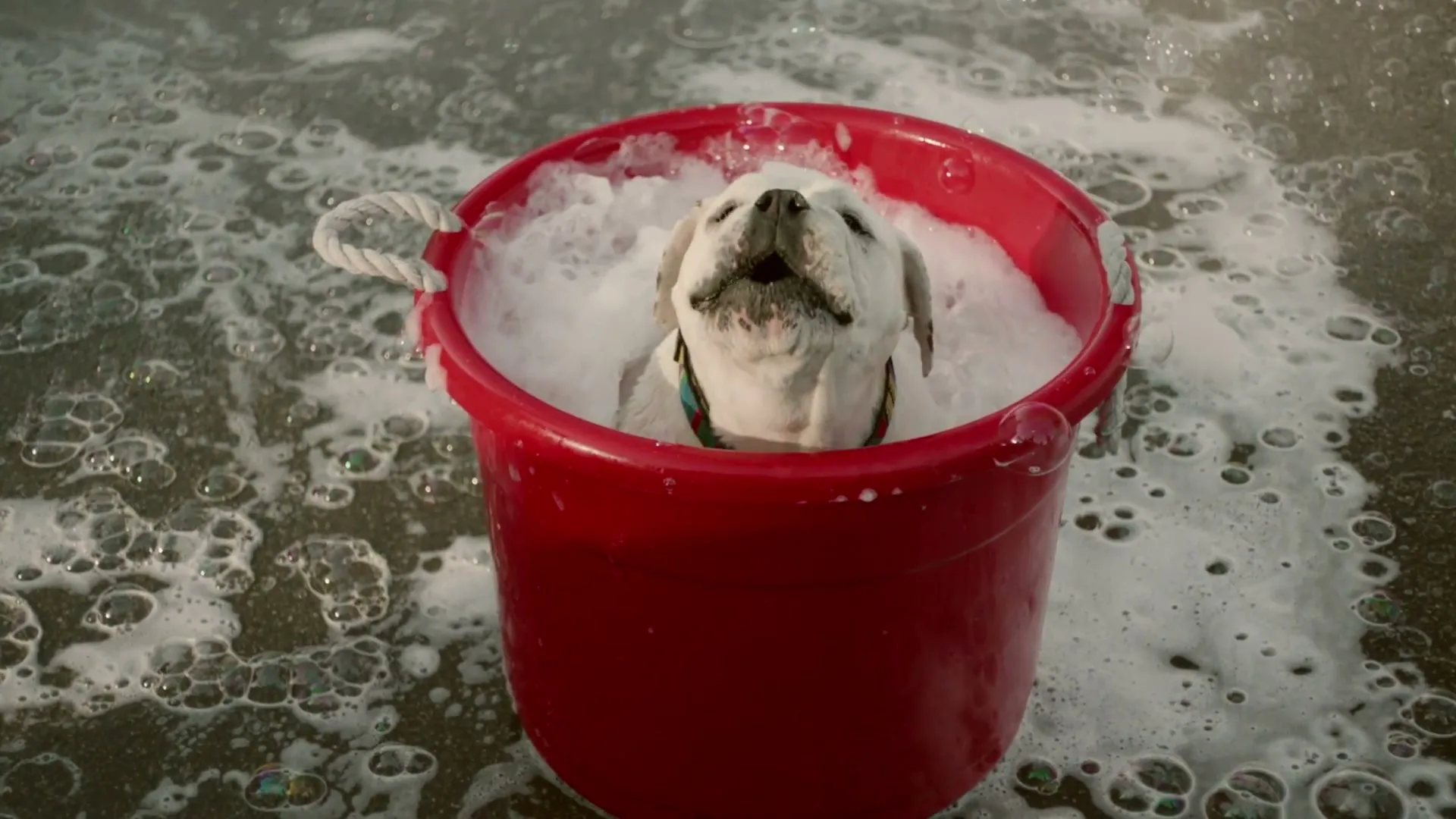 Subaru of America Inc “Subaru - Car Wash”, directed by Brian Lee Hughes