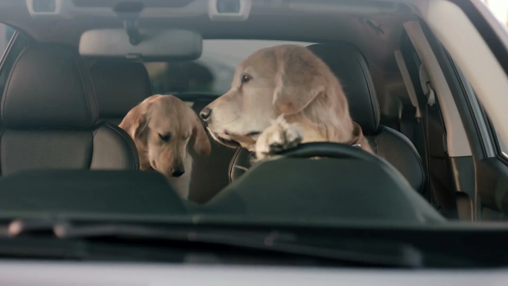 Subaru of America Inc "Subaru - Drive Away" (2018) commercial still