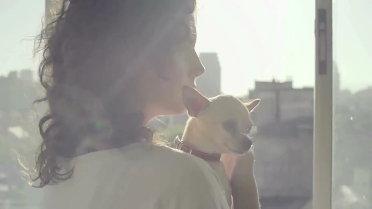 Purina “Live Big” (2018), frame 2