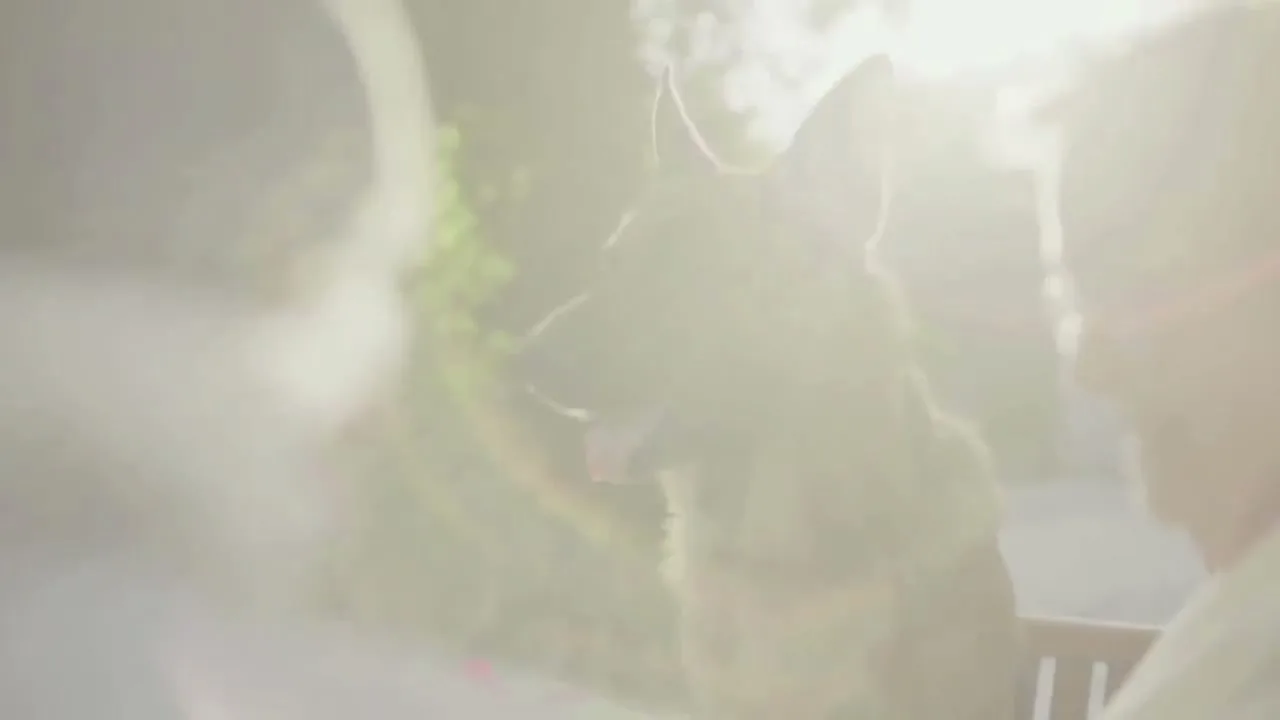 Purina “Live Big” (2018), frame 5