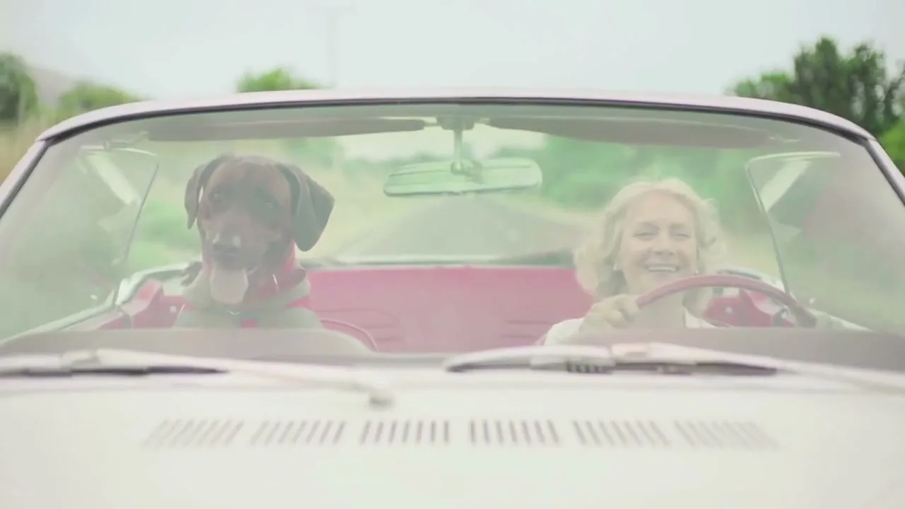 Purina “Live Big” (2018), frame 6