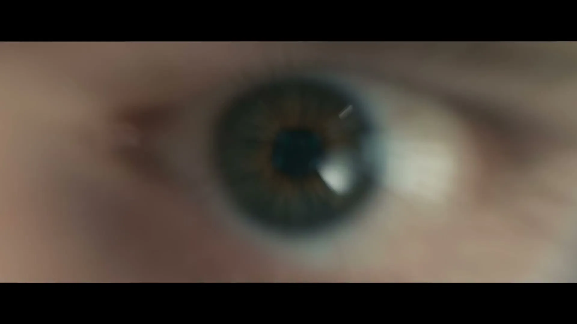 LIDL “FISH”, directed by Fred De Loof