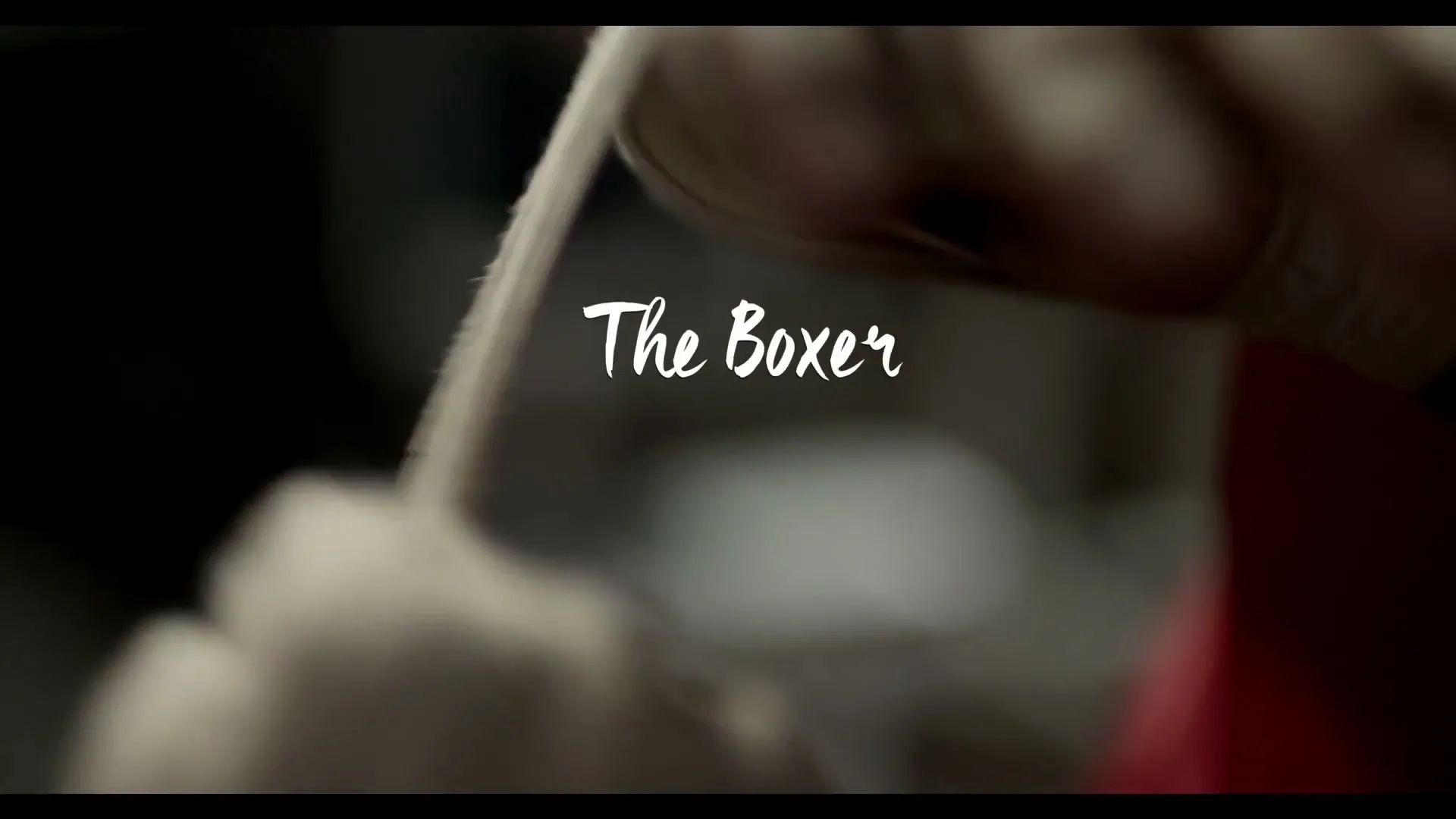 SBI Life Insurance “Boxer” (2018), frame 2
