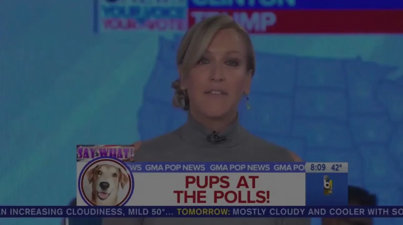 Pedigree "Trump / Clinton Rally" (2018) commercial still