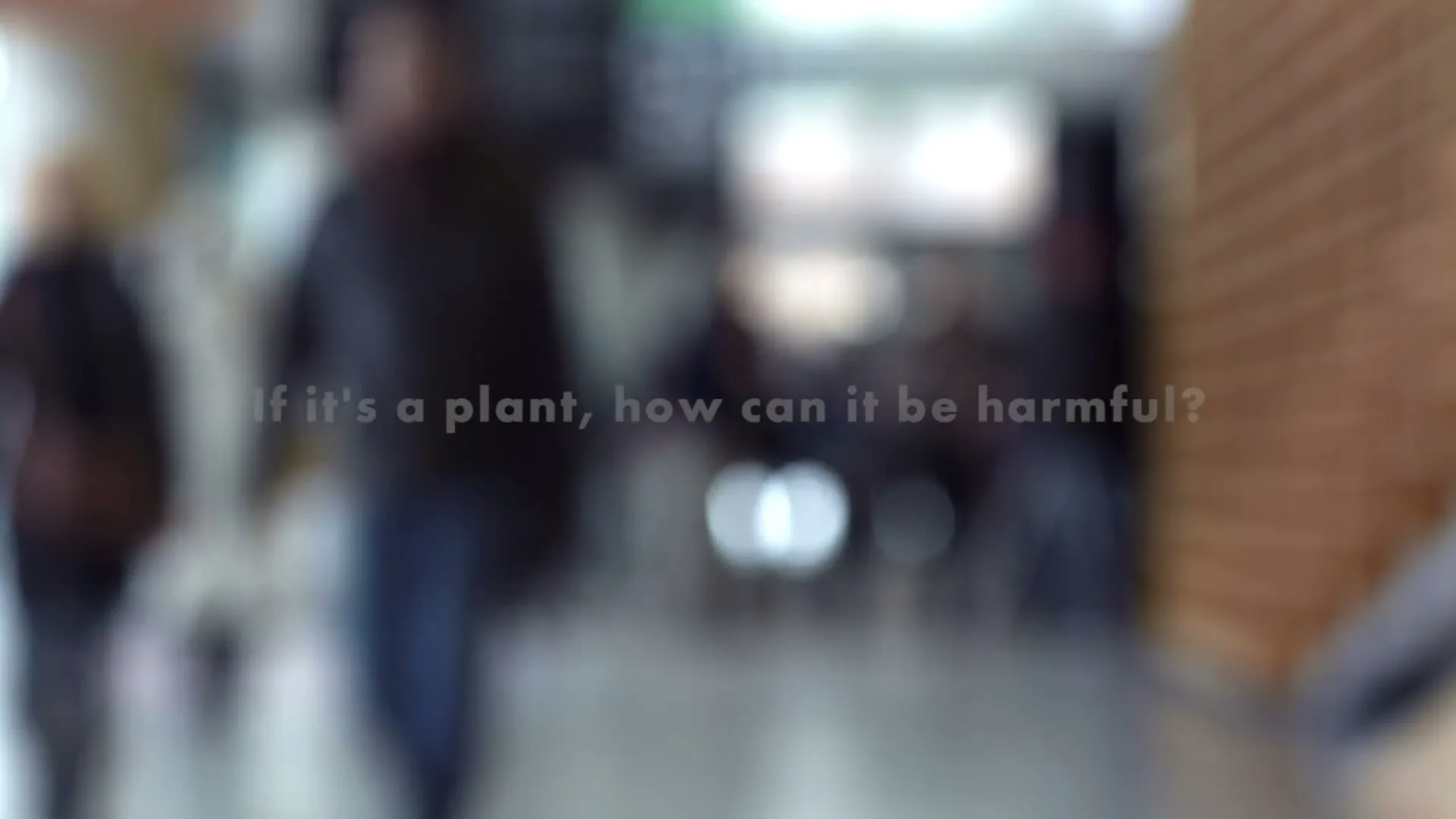 Health Canada “Cannabis Questions”, directed by Dale Heslip