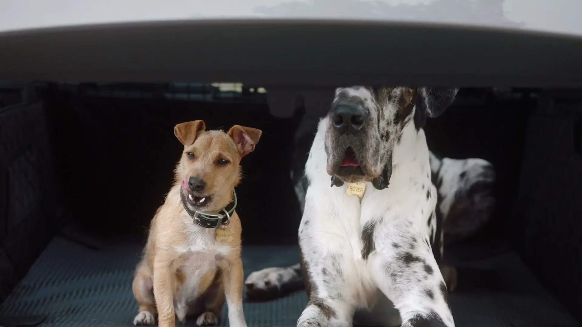 Land Rover “LANDY & ROVER'S NEW ADVENTURE”, directed by Adam Johnson