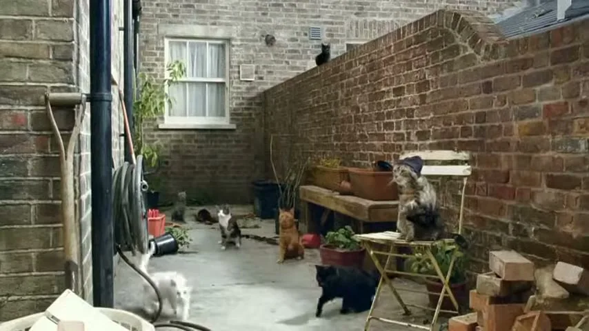 Cravendale “Cats with Thumbs” (2012), frame 6