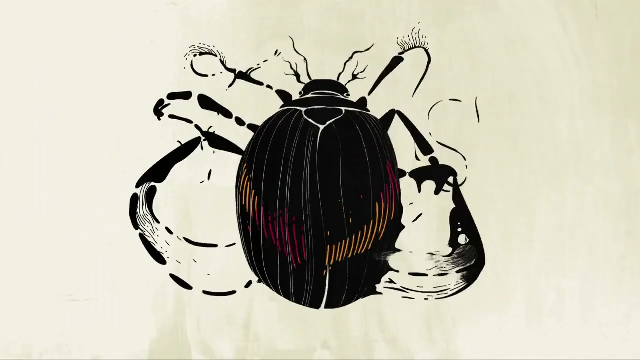 A black beetle with colorful stripes on its back transforms and splatters into ink on a light background.