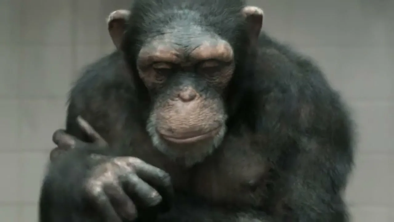 PETA “98% Human” (2013), frame 4