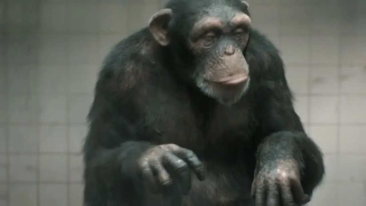 PETA “98% Human” (2013), frame 5