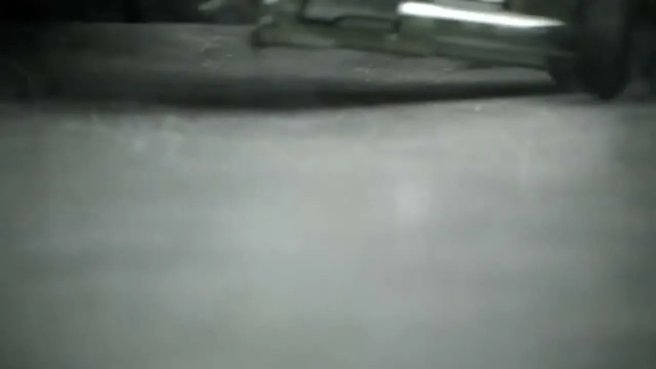 PETA “98% Human” (2013), frame 6