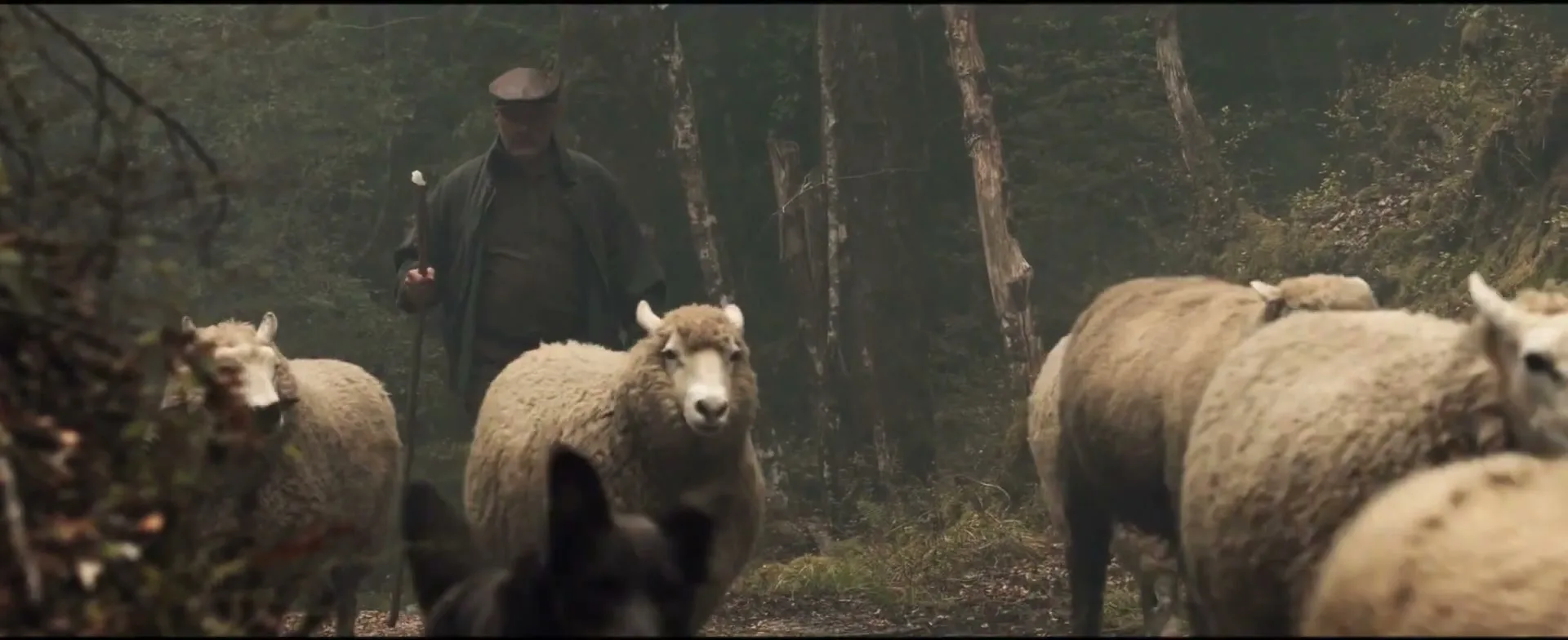 Schweppes “Tumble” (2013), frame 6