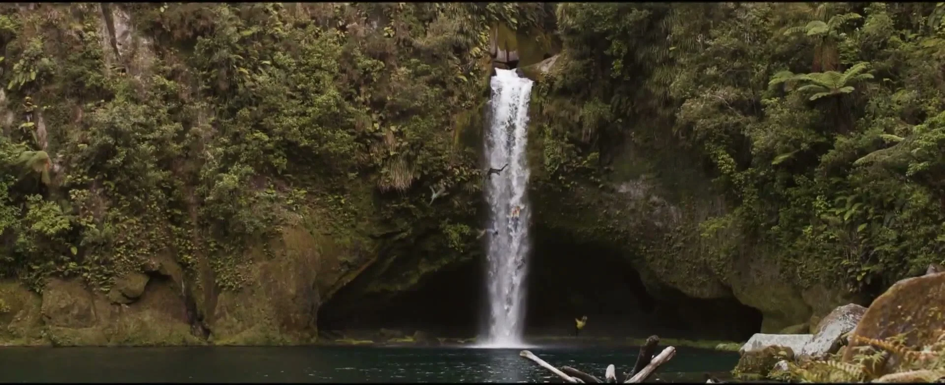 Revolver