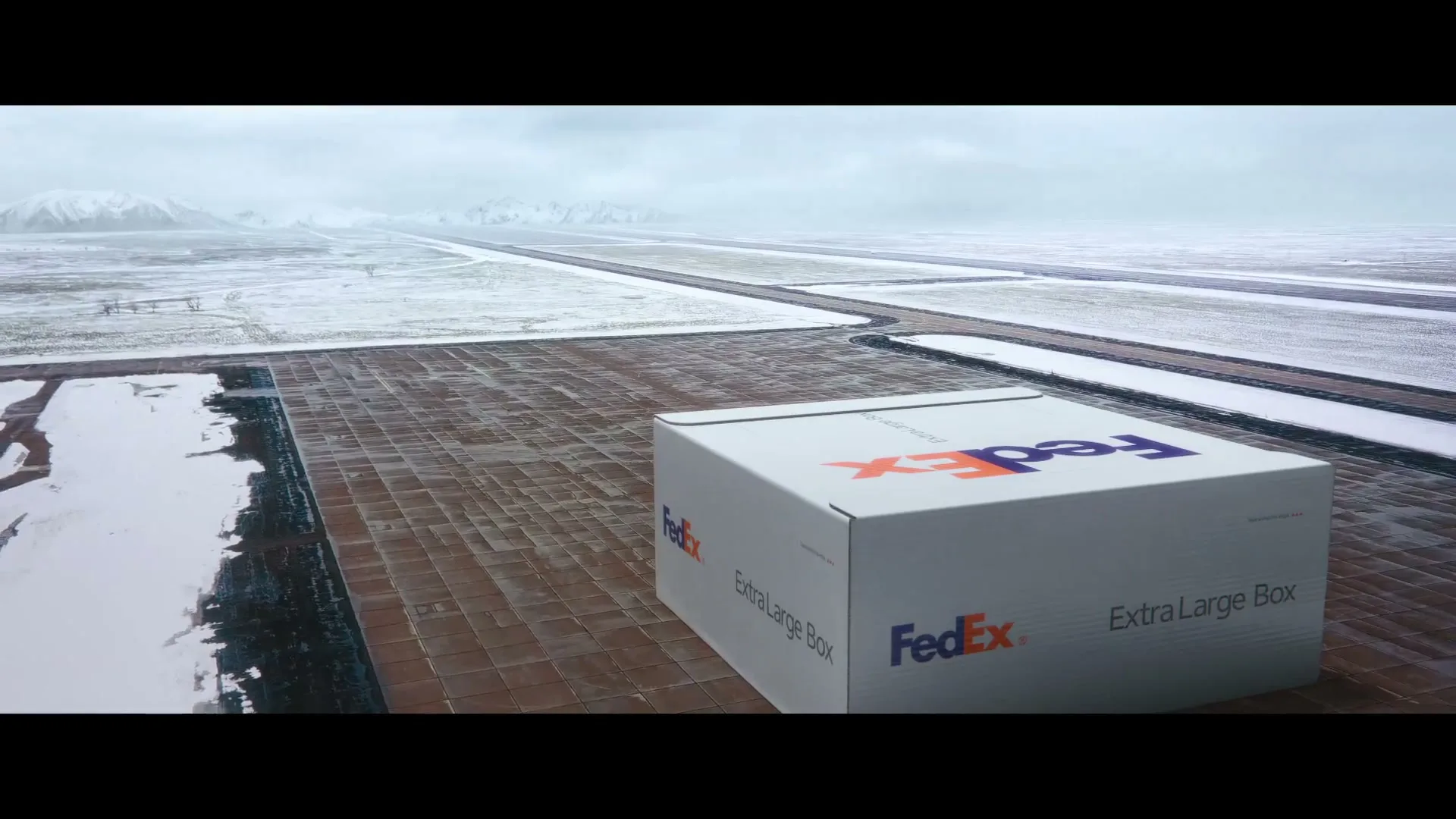 FedEx “Delivering For Earth” (2025)