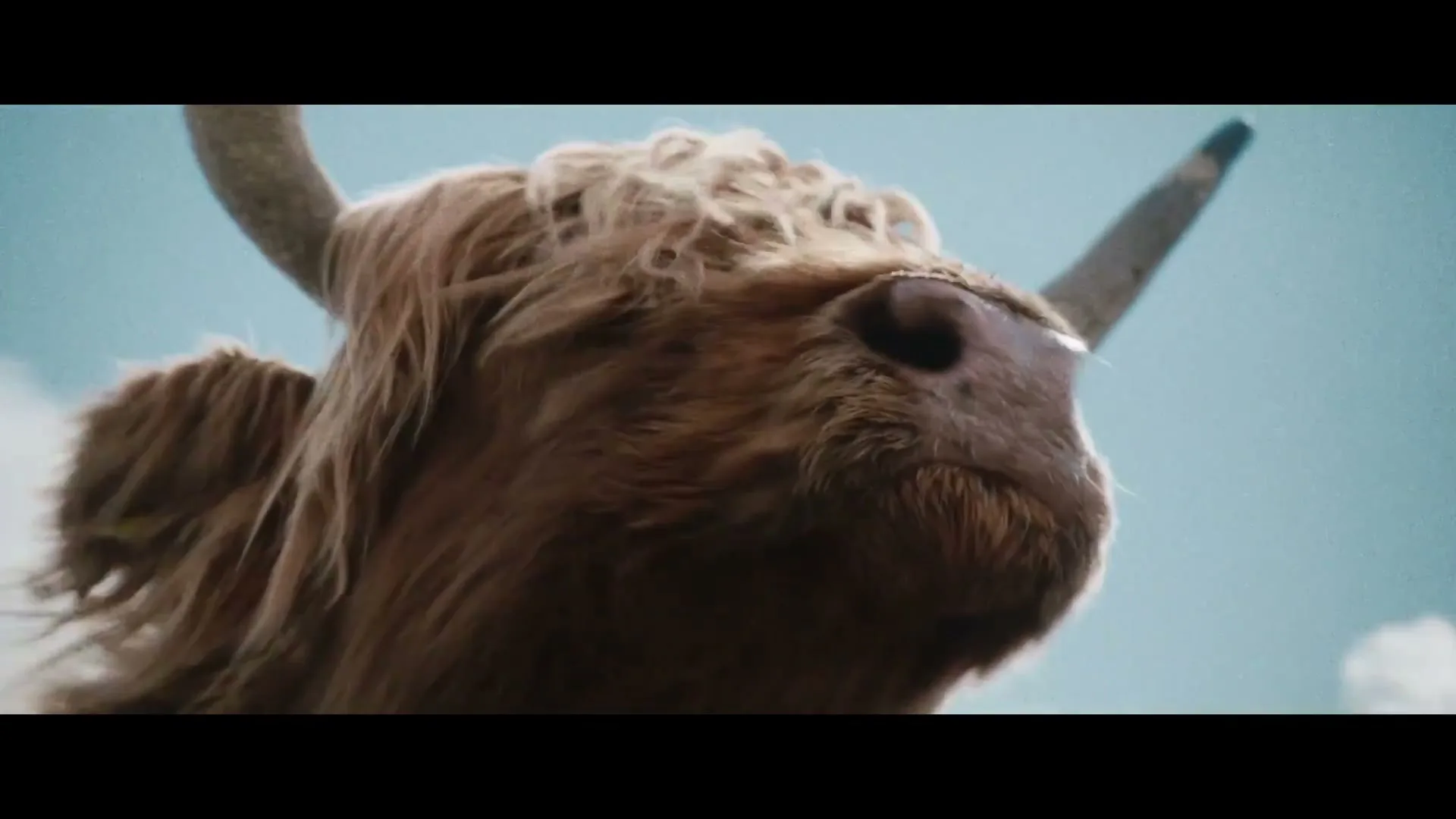 O2 “Virgin Media 02 - Highland Rider”