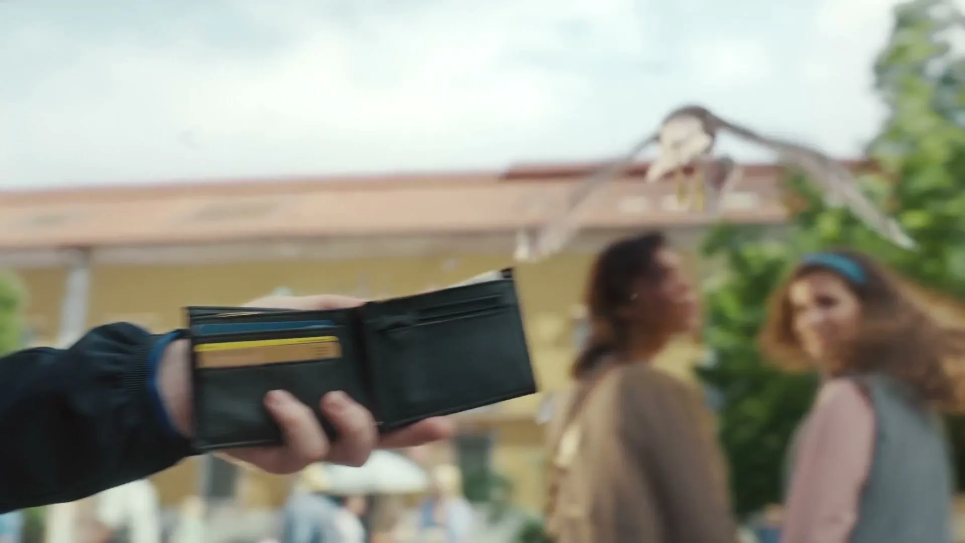 Visa "Birdstrike" (2023) commercial still