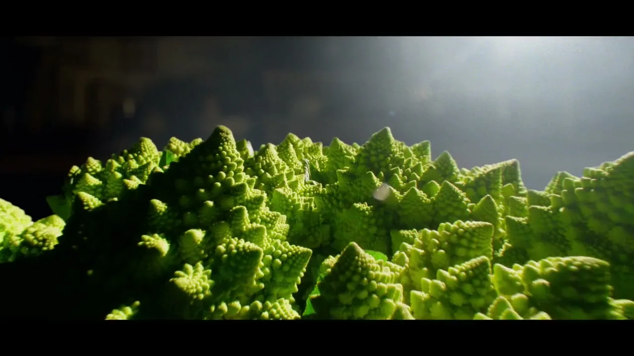 A macro shot of a vibrant green Romanesco broccoli with intricate fractal patterns, illuminated by a soft light from above.