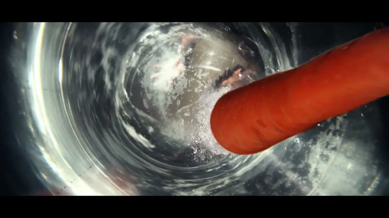 A carrot is dropped into a swirling vortex of water, creating splashes and bubbles in a dark, mysterious setting.