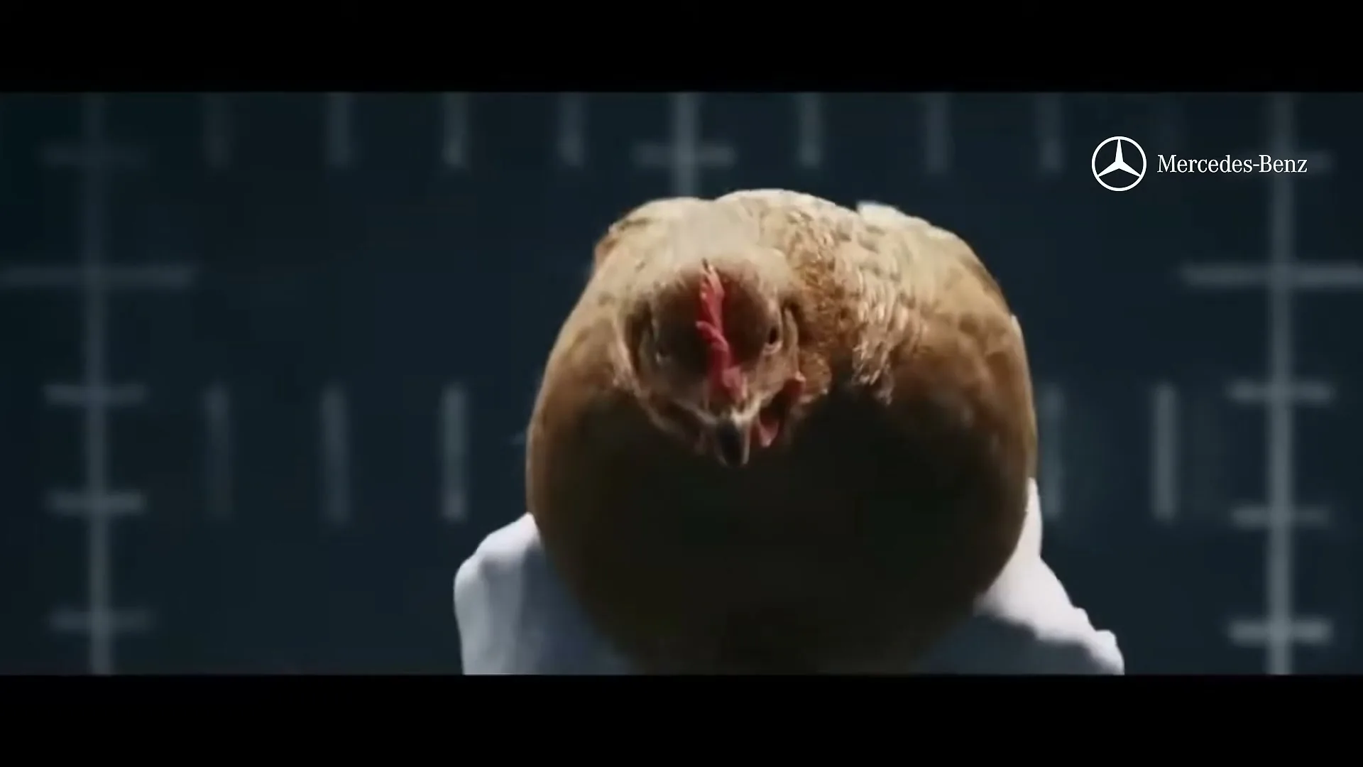 A brown chicken with a red comb is held by a person in a white glove, its body moving to a beat, in a dark studio with a grid background.