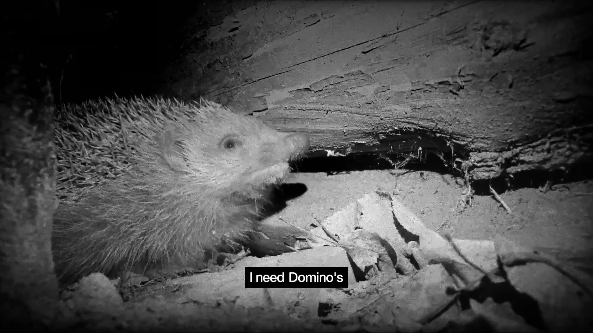 Domino's “Domino's - Hedgehog”