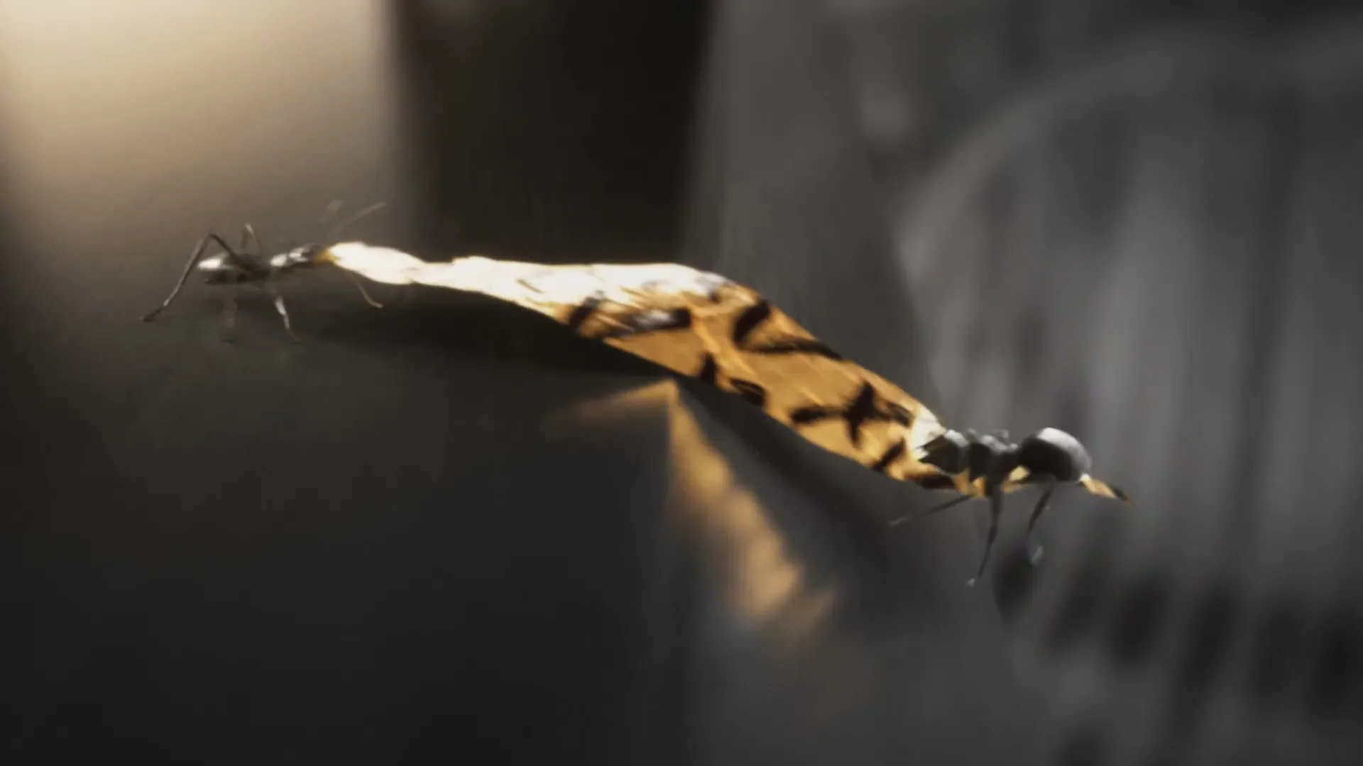 Chivas Regal "United Is the New Gold" (2023) commercial still
