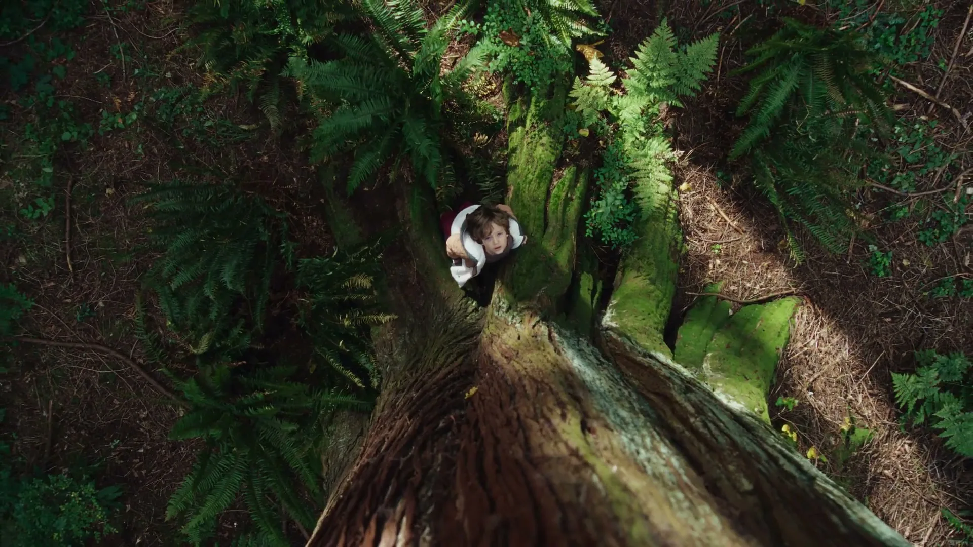 Volvo Car Corporation "Awareness" (2025) commercial still