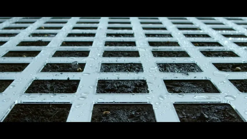 Atlantic Group “37 Days” (2015), frame 4