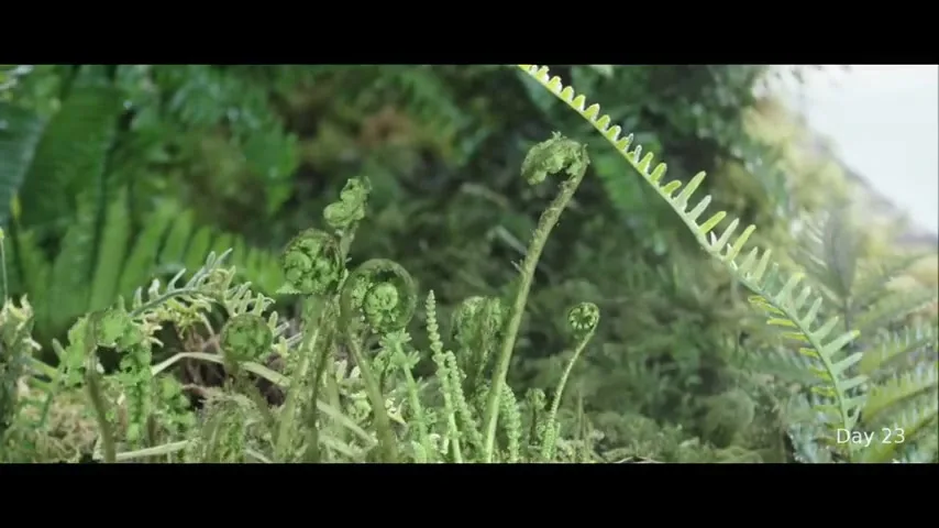 Atlantic Group “37 Days” (2015), frame 6