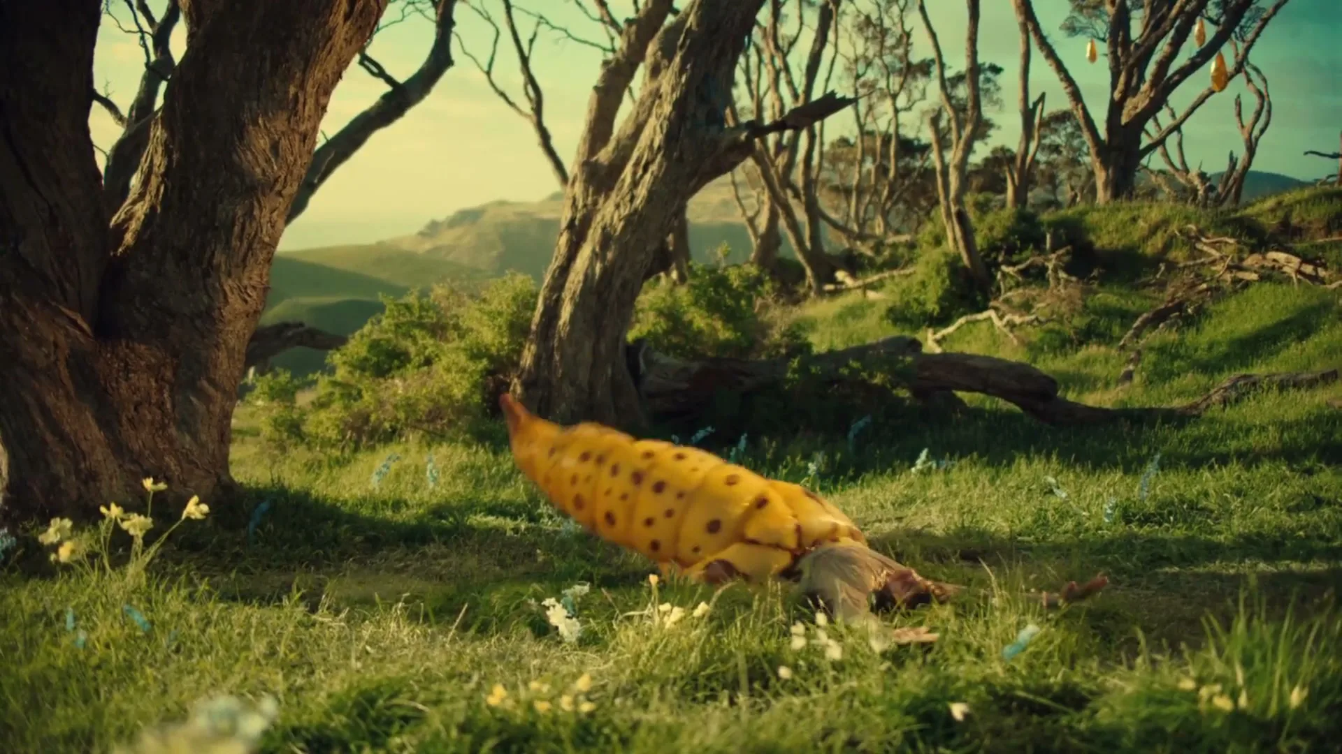 HORNBACH “Every Spring - a New Beginning”, directed by Traktor