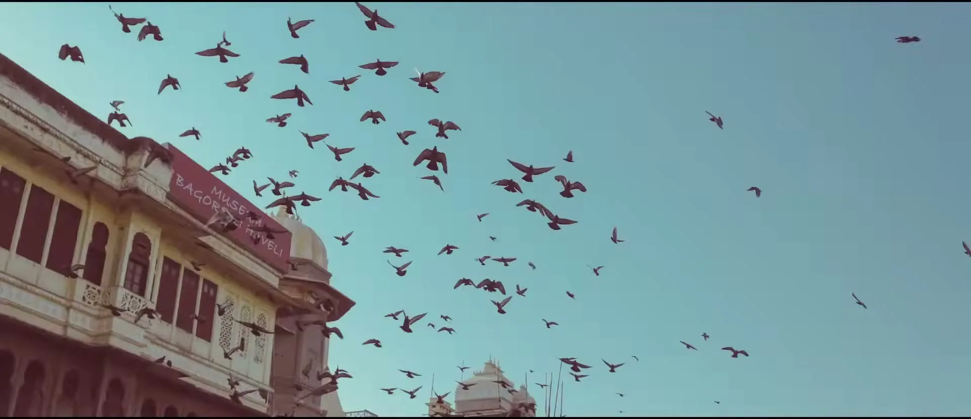 A flock of birds flies across a clear blue sky, with a traditional Indian building visible on the left side of the frame.