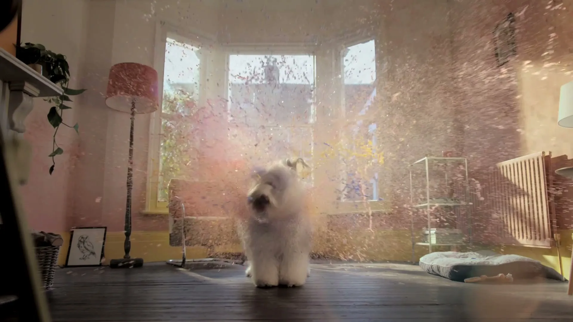 Dulux “Life Is What You Paint It” (2026)