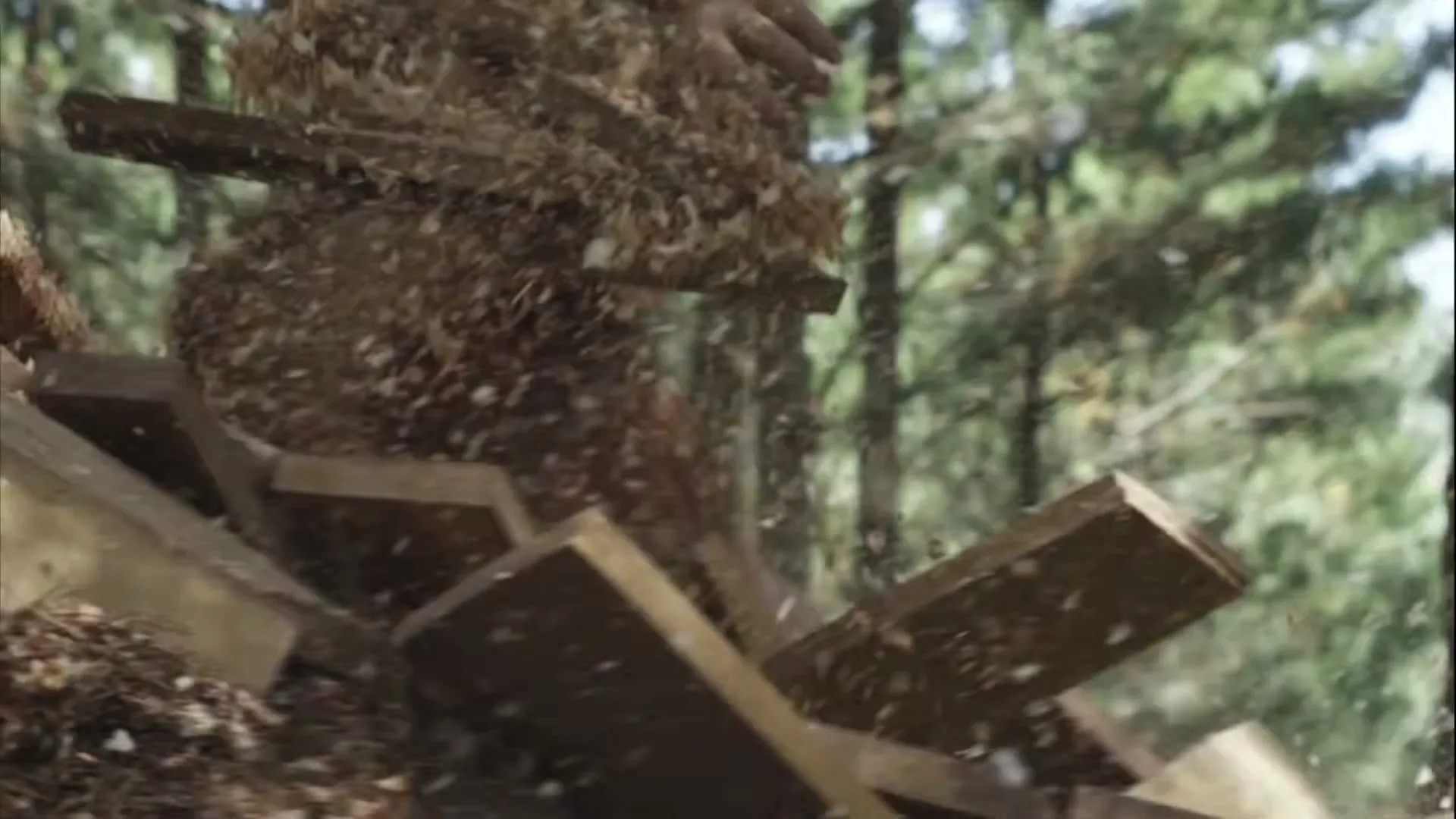 A person's hand is seen pushing through a pile of wood shavings and planks, revealing a forest in the background.