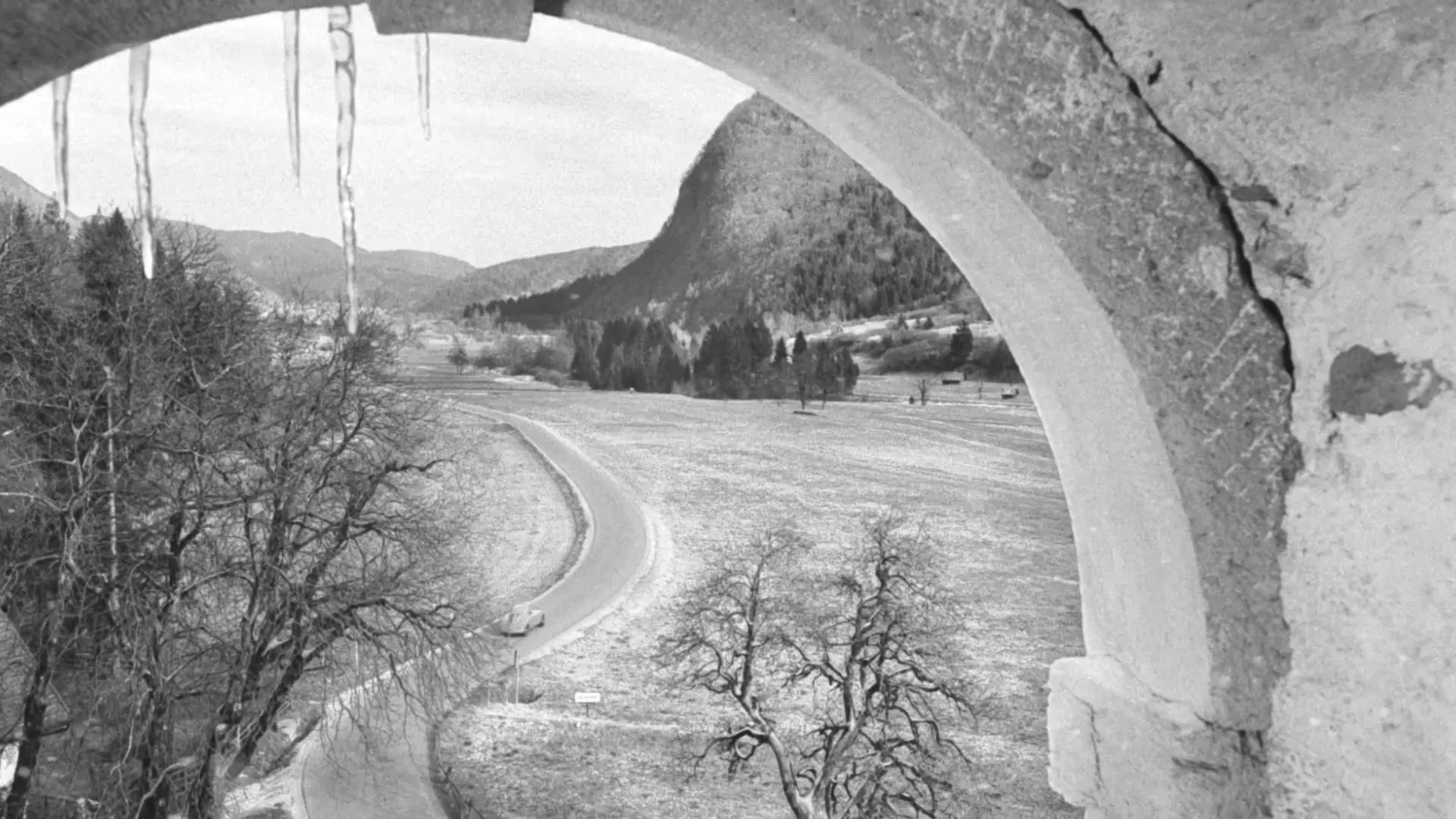 Audi "The Swan" (2023) commercial still