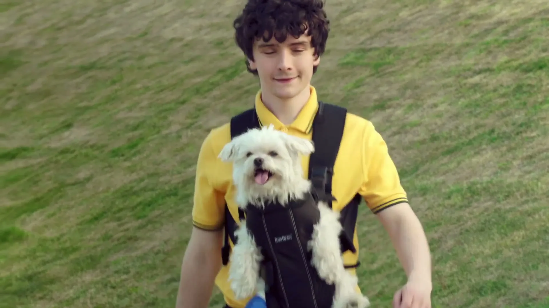 Amazon Prime "Dog" (2015) commercial still