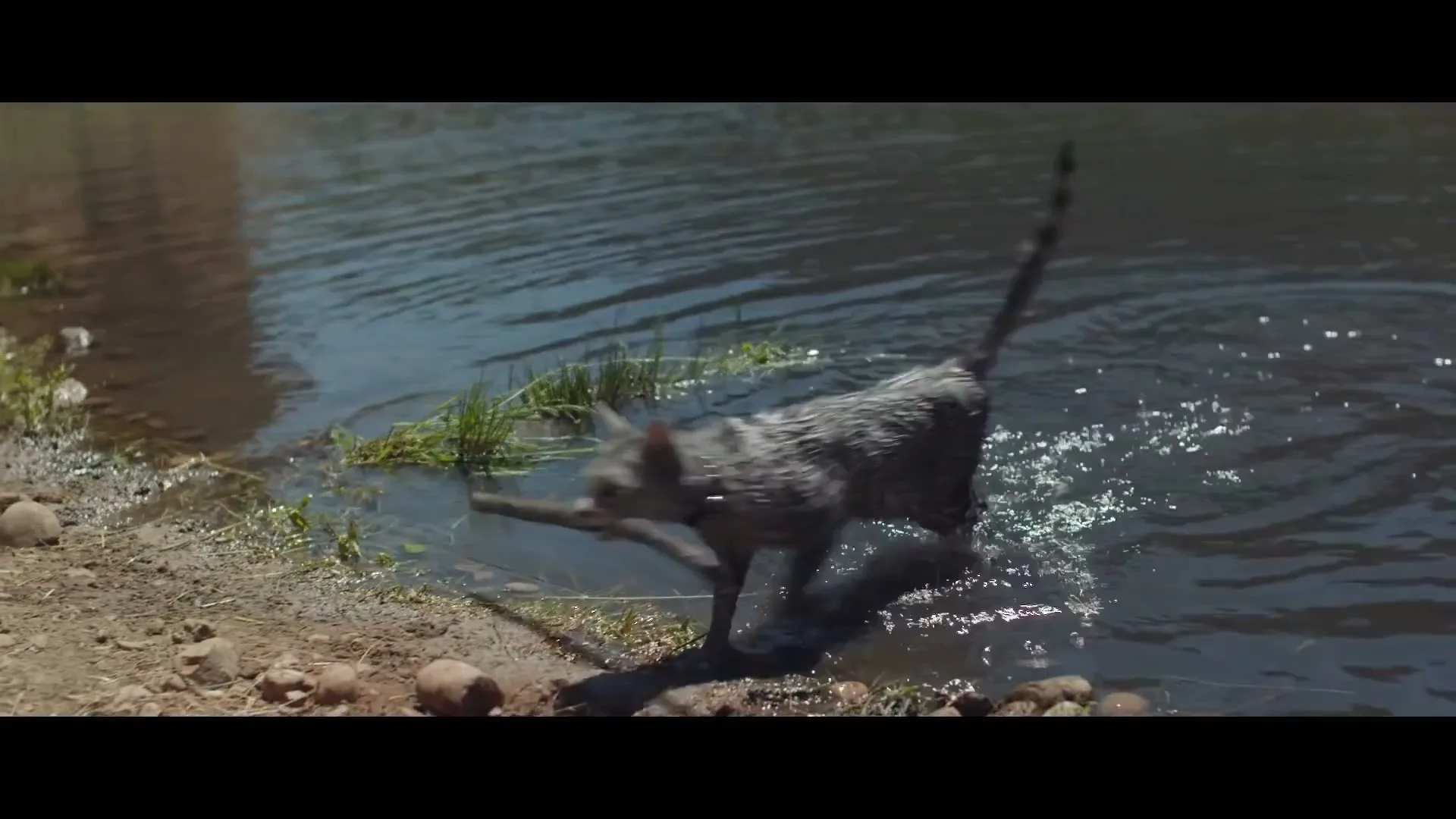 Chevrolet "Silverado Cat" (2022) commercial still