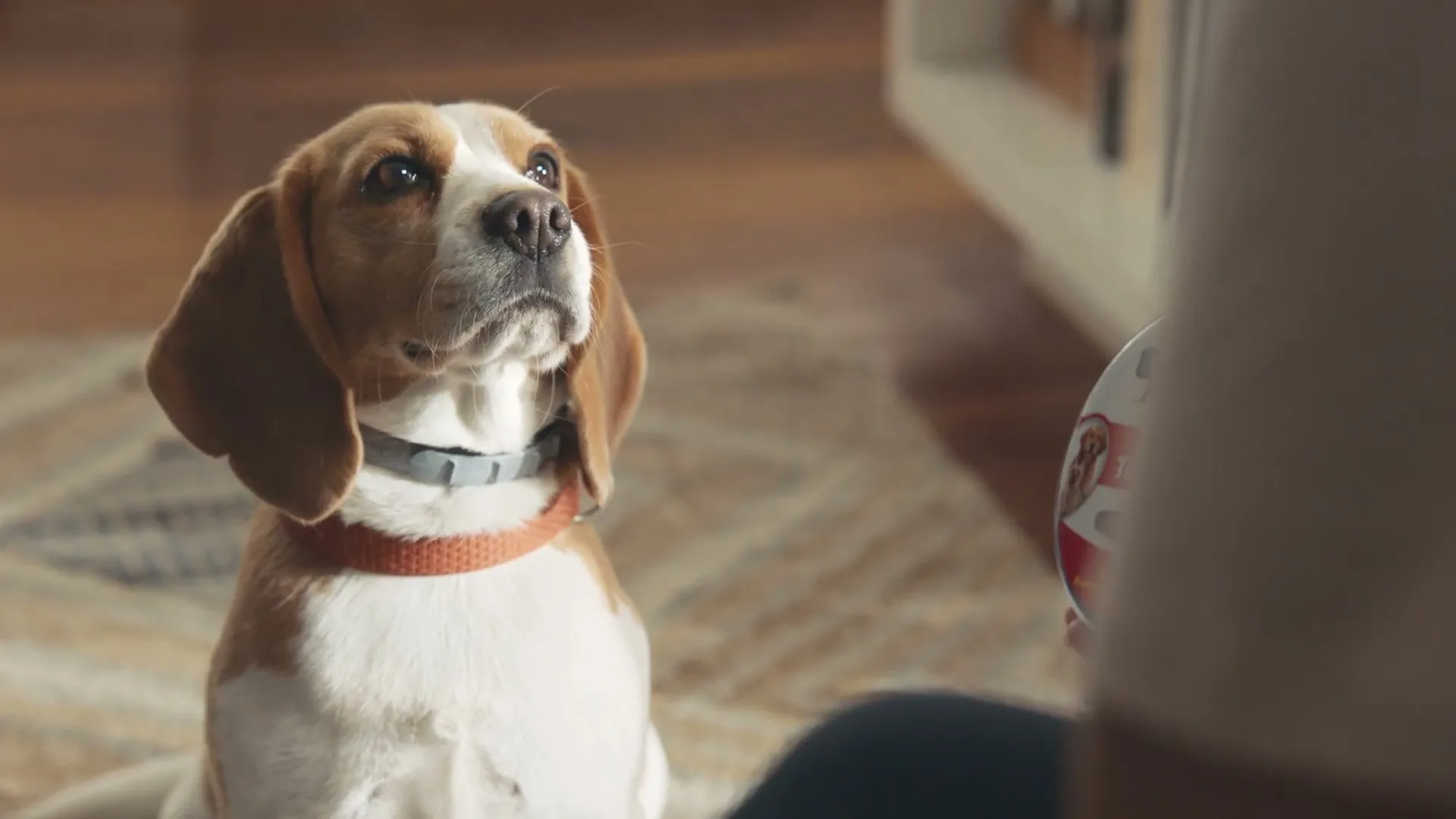 Hartz “The Talk - Dog” (2023)
