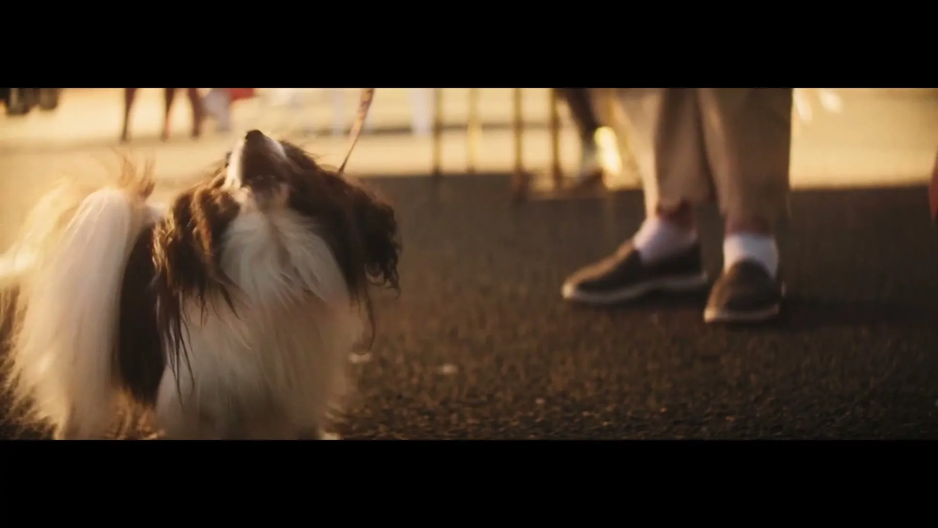 Betr “Ahead Of The Game”, directed by Tom Kuntz