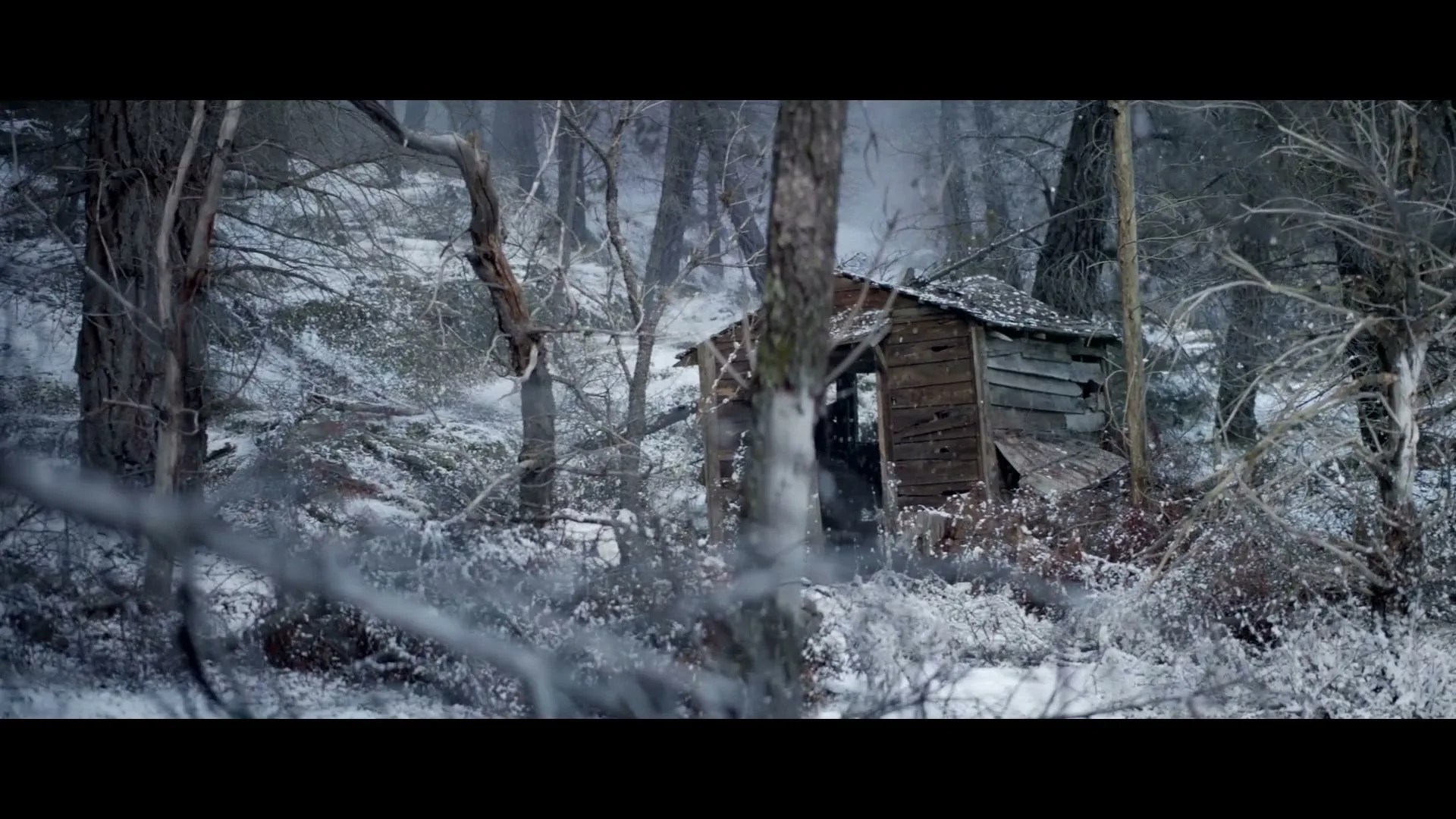 A wide shot of a small, dilapidated wooden shack nestled in a snow-covered forest, with bare trees and branches in the foreground.